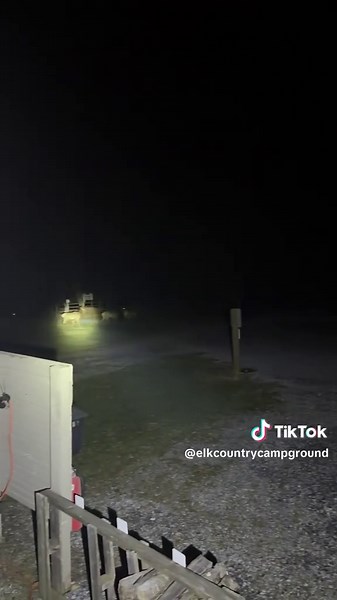 Elk Moms Patrol Campground at Night