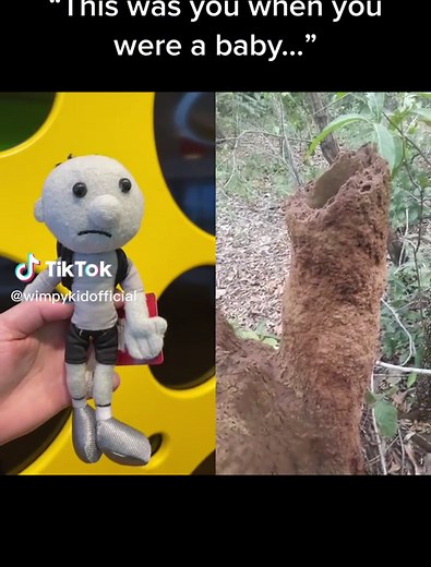 Recreating Greg Heffley's Childhood Memories Duet