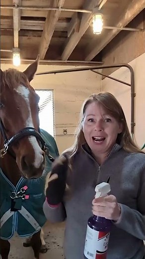How I Apply Fly Sprays and Horse Grooming Products to Faces