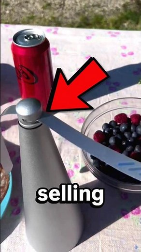 This Simple Fan Keeps Flies Away From Your Meal