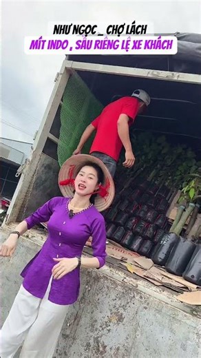 chuyên sx Sầu riêng giống mít giống, hàng chuẩn bao lựa đẹp.🌳Giao hàng toàn quốc .📞 @9@7.22.77.26