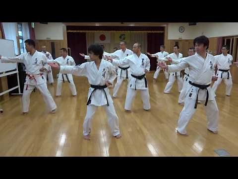 沖縄小林流空手道（型）ナイハンチ初段