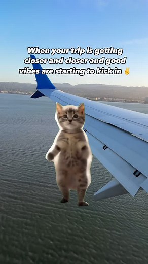 147K views · 5.3K reactions | Who knows the feeling?!  absolutely...