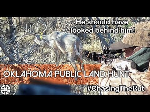 Public Land Deer Hunt in Oklahoma #chasingtherut
