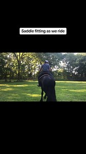 Is your horse struggling with back soreness or stiffness? Learn how to help them round out their back and build proper muscles with Wendy's expert tips in our latest video. Your horse will thank you! #horses #stretches #equine #equestrian #horse #biomechanics #equinescience | Burns Saddlery