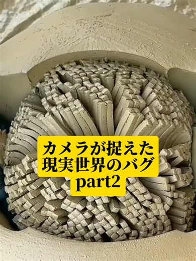 カメラが捉えた現実世界のバグ #雑学 #不思議 #fyp
