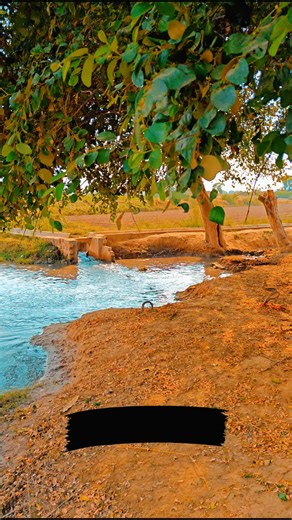 pind life 🥰🥰💞