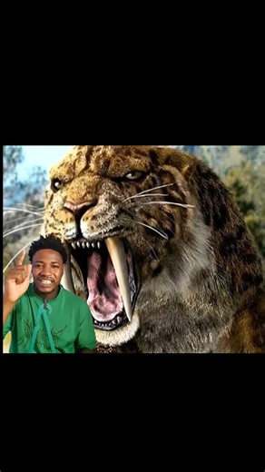 Exploring the Saber-Toothed Tiger: Extinct Wildlife Insights