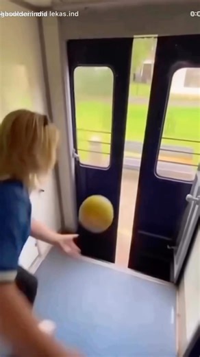 Zip line | adventure setup #zipline