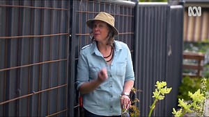 Pruning Pistachio - Gardening Australia