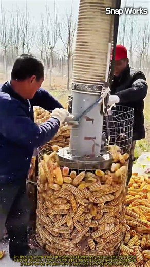 공기 흡입식 파이프를 이용한 대용량 옥수수 건조 사일로 적재 공정 #worker #process #equipment #farming #storage