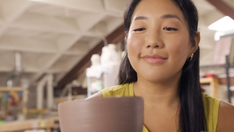 SanDisk 256GB Creator Phone Drive - for iPhone, iPad, Laptop & Mac - Includes USB Type-C and Lightning Connectors - Automatic Backup, 3 Months of Adobe Lightroom Included - SDIXD0N-256G-GN6TP