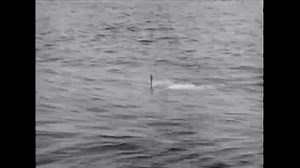 CIRCA 1948 - A periscope is seen cutting through the water, submerging and surfacing.