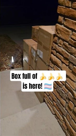 Ultra-realistic FTM Packer of 2026, drops in 7 days! 3/18! 🍌🏳️‍⚧️ @StealthMade.co #transition #ftm