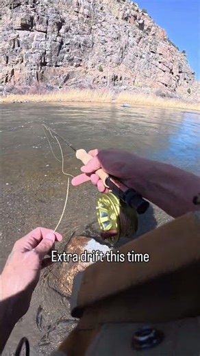 Back in the saddle like some old cowboy #colorado #fishing #fishingadventures #troutfishing #flyfish