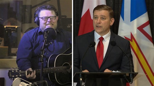 Musical commentator Sean Panting takes on Premier Furey’s resignation