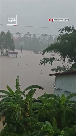 900 Snakes Escape During China Floods