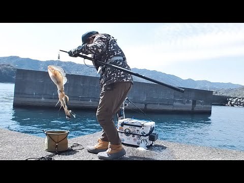 【第88話】高知県黒潮町「佐賀の沖堤防でヤエン釣り」 #ヤエン