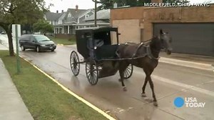 Amish mafia: 'Kind of like an oxymoron'