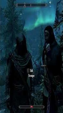My First Interaction In Skyrim Roleplay #skyrimroleplay