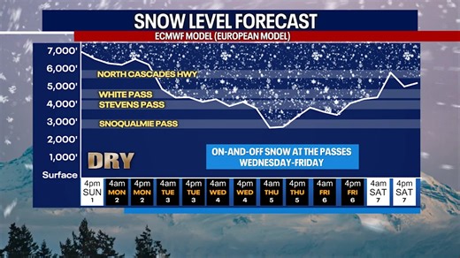 Spring-like weather in Seattle for early March