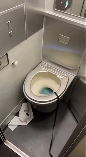 Khi boss nghịch ngu và cái kết… bay vào toilet 😂” #pug