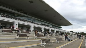 Arlington Park fans prepare to say goodbye ahead of race track's final weekend