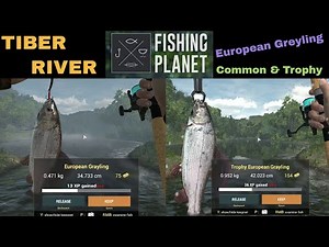 Fishing Planet, Tiber River, Italy, European Grayling, Common & Trophy