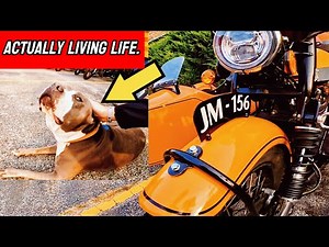 Why These Riders Choose Janus Motorcycles