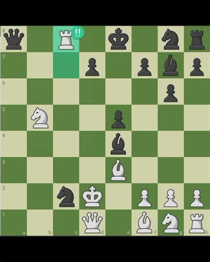 Mastering Chess: Checkmate Strategies with Rooks
