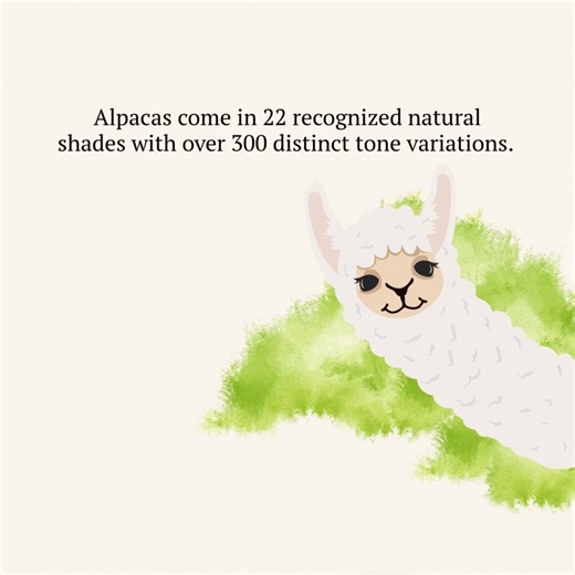 Discover our stunning range of 100% alpaca yarn, available in colors from creamy whites to deep browns and blacks. Perfect for knitting and crocheting enthusiasts. 🧶🦙 #cascadeyarns #yarnlove #knitting #crocheting | Cascade Yarns