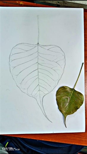 Nature Sketching ❤️❤️ #naturestudy #art #sketch #artdrawing #trending #shorts #artistaryan