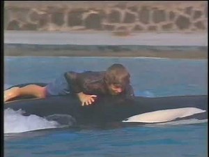 Free Willy VHS commercial, 1993