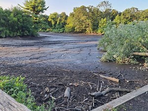 New Mission To Save Fish At Stony Brook Mill Pond: 'It's A War Zone'