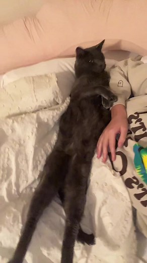 I have never laughed like that before idk what that was