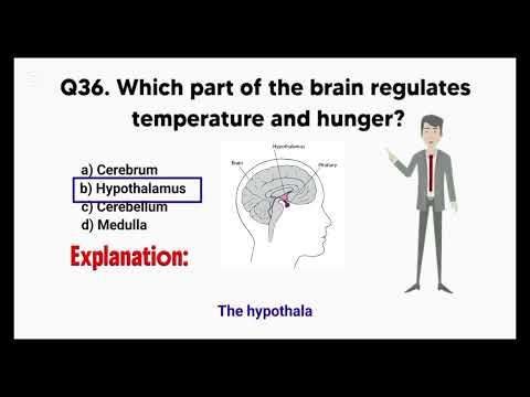 Medical MCQs Series Part 2 | Nursing & Paramedical Exam Questions #anethesiawithbabr