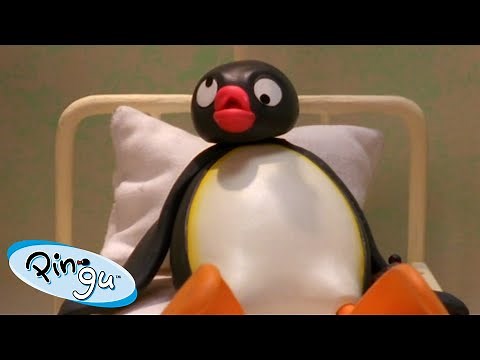 Pingu Learns His Lesson 🐧 | Pingu - Official Channel | Cartoons For Kids