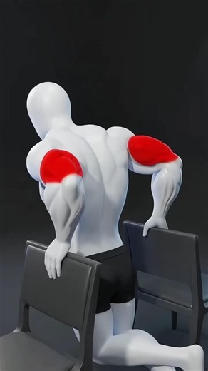 How to Do Chair Dips Correctly for Chest and Tricep Development 🔥 #Shorts