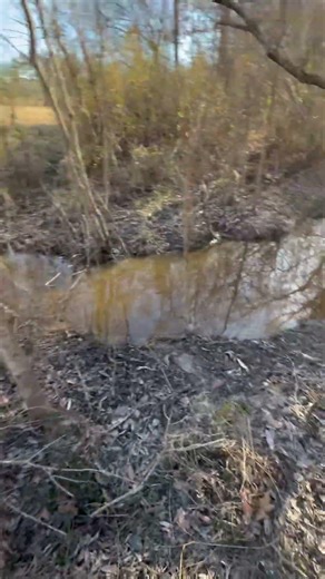 Trapping beaver with the Duke 330’s.