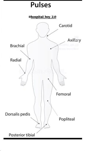 pulse point 👉🏻 #pulsepoint #medical #trending #shortsfeed #shorts #viral
