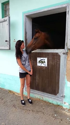 Horse Smacks Woman
