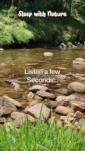 😴Sleep Fast Feeling Nature. ASMR Calm Moment with the Gentlest Stream #shorts #nature #sleep #stream