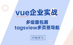 vue企业实战：多级面包屑   tagsview多页签导航（分享视频配套课件）