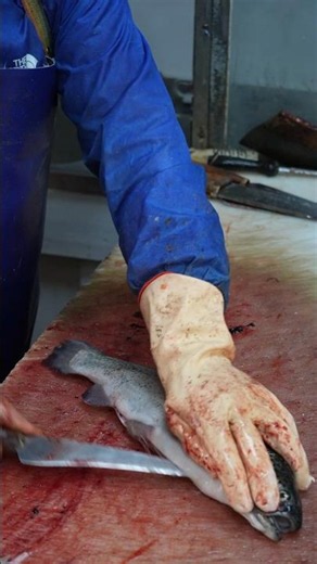 How Can Anyone Fillet Fish This Fast?