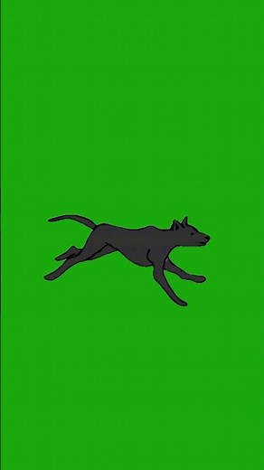 DOG RUNNING GREEN SCREEN VIDEO #animation