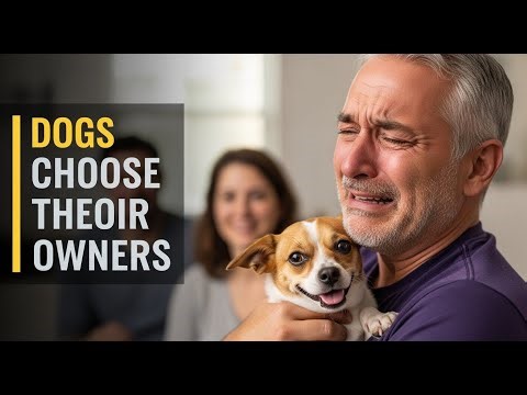 We Let Shelter Dogs Choose Their Humans — Adoption Day Stories