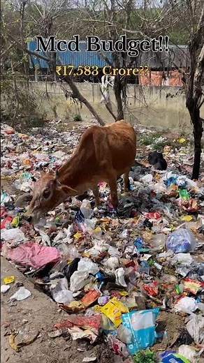 MCD Budget ₹17,583 Crore vs Ground Reality 😳 | Delhi Sanitation Reality | Clean India | #shorts