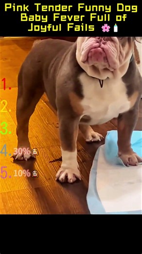 Pink Tender Funny Dog, Baby Fever Full of Joyful Fails 🌸🍼 #foryou #funny #doggielife #pets #puppy