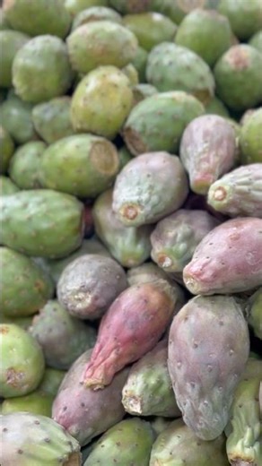 We Don’t Say Its A “Prickly Pear” Wild West “Cactus Apple” Jelly #cooking #wildfood #jelly #cactus