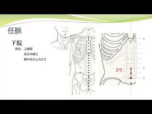 【経絡経穴を覚えよう】任脈 部位 暗記用